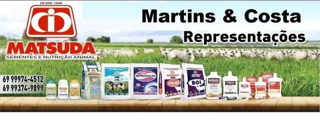 martins-noticias - 10